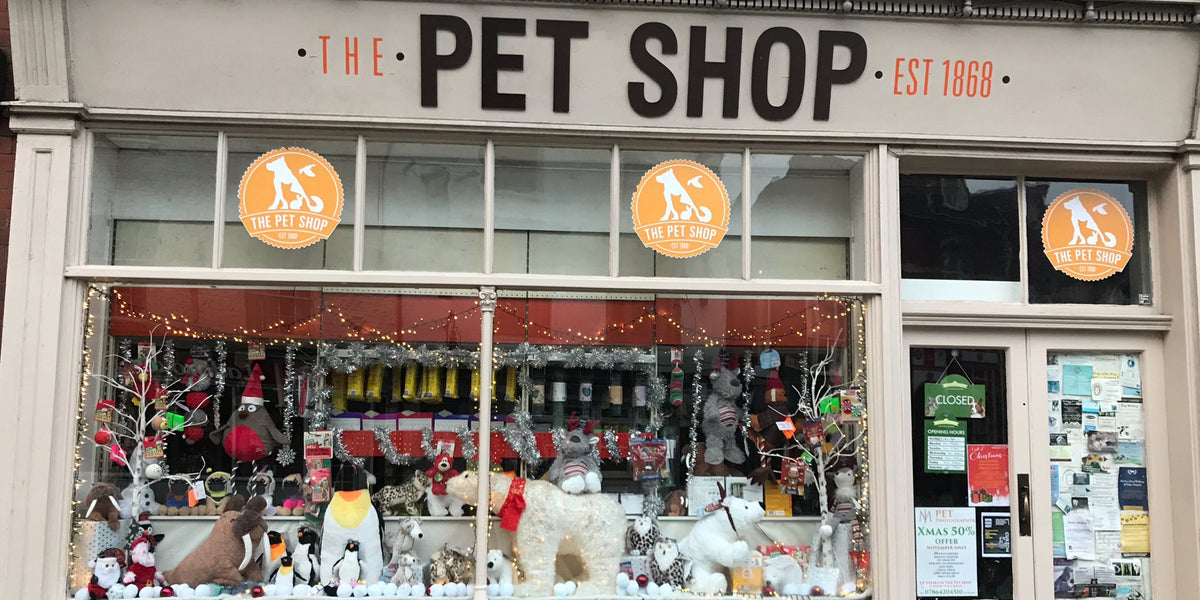 Ventajas de tener una Pet Shop!— Pet Markt Mexico
